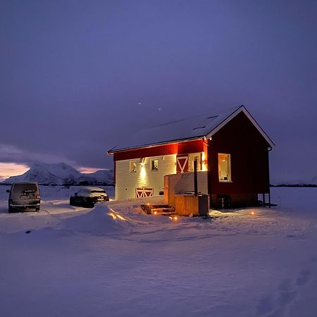 Unique Barnhouse In Amazing Gimsoy In Lofoten Saupstad  エクステリア 写真
