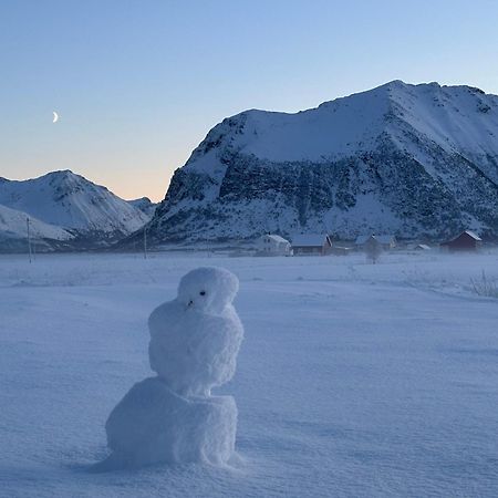 Unique Barnhouse In Amazing Gimsoy In Lofoten Saupstad  エクステリア 写真