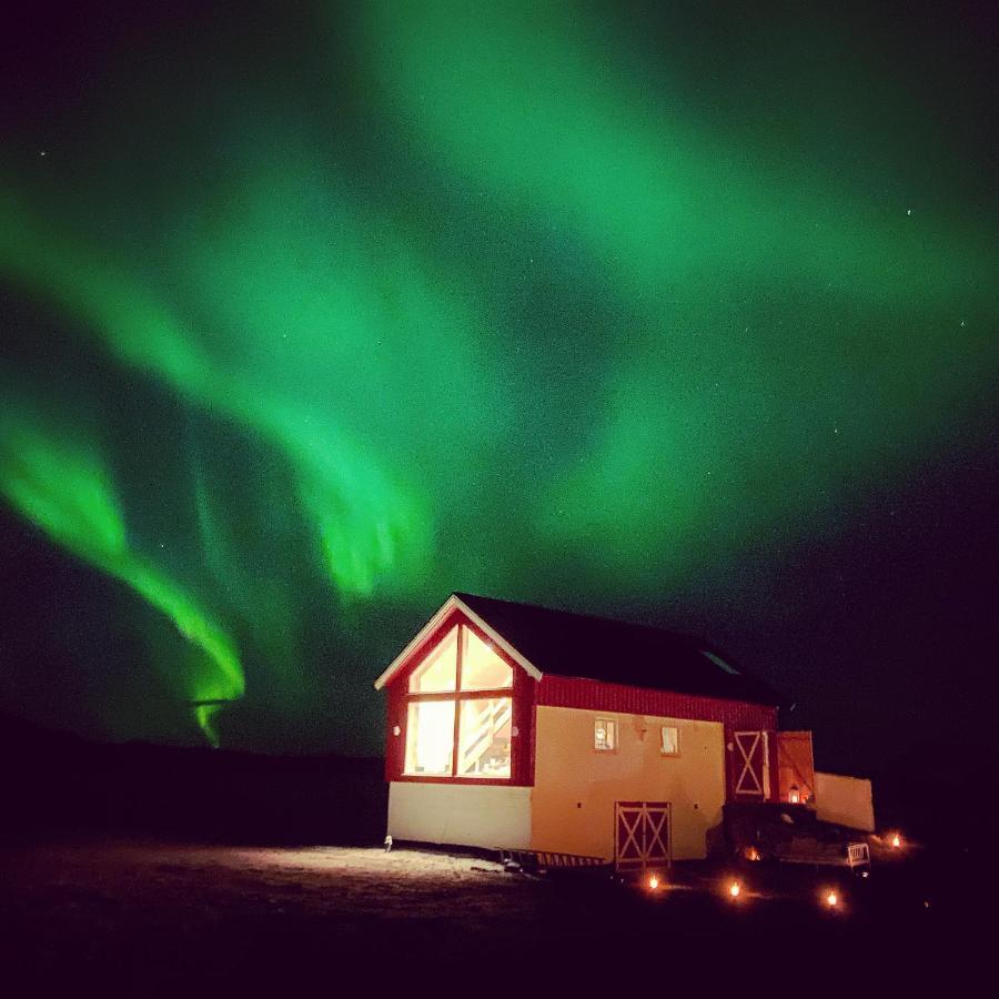 Unique Barnhouse In Amazing Gimsoy In Lofoten Saupstad  エクステリア 写真