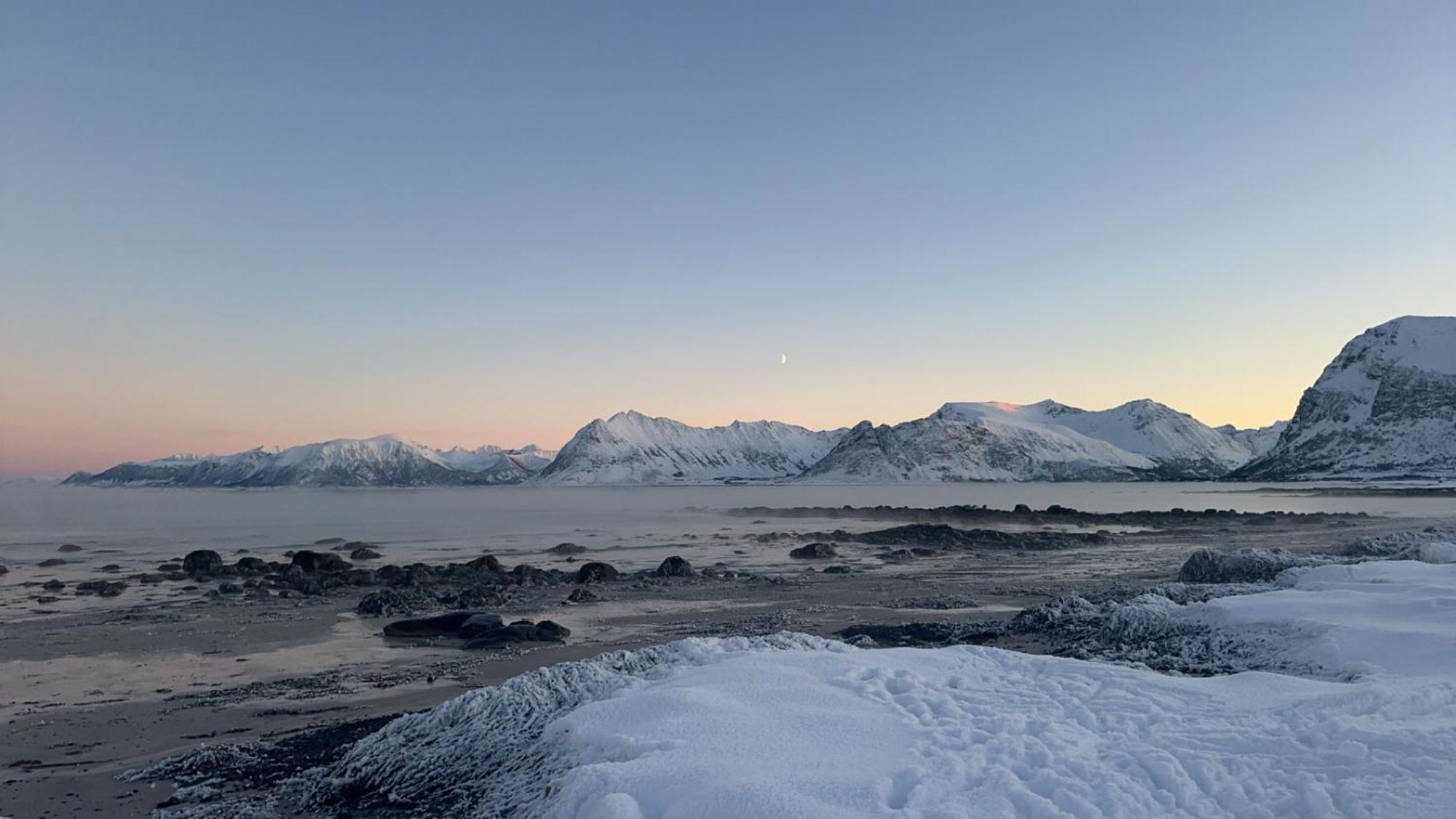 Unique Barnhouse In Amazing Gimsoy In Lofoten Saupstad  エクステリア 写真