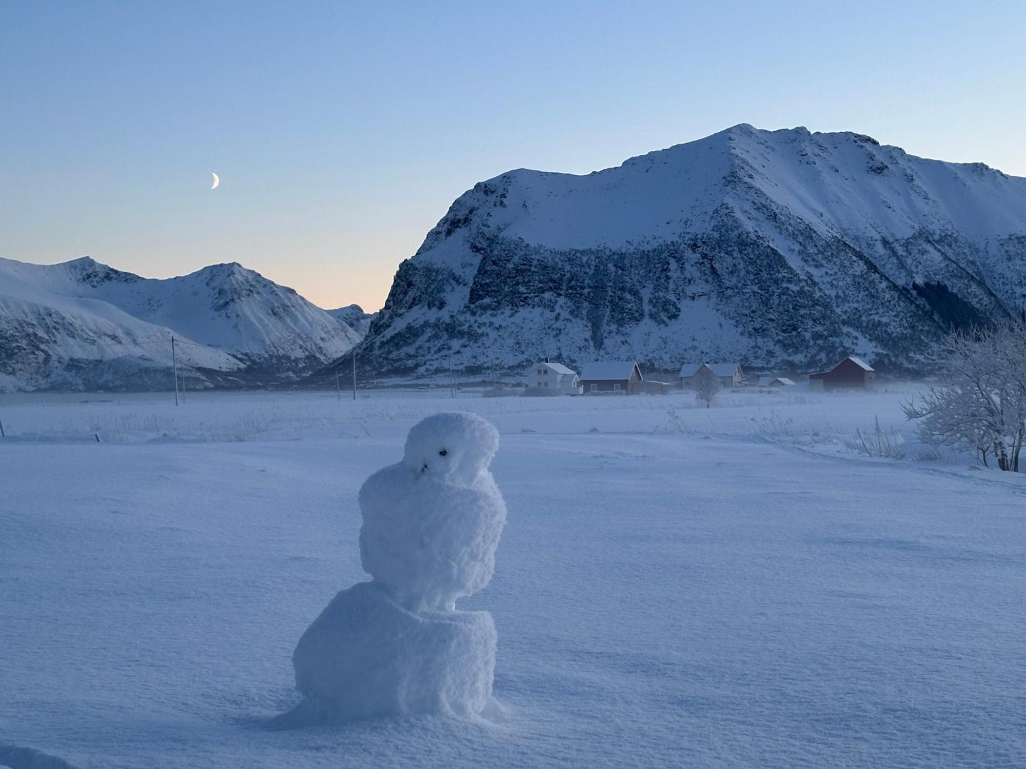 Unique Barnhouse In Amazing Gimsoy In Lofoten Saupstad  エクステリア 写真